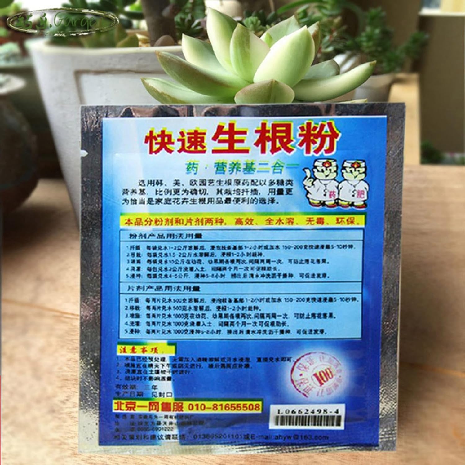Rooting Hormone Powder - 10 Bag 10g Rooting Powder for