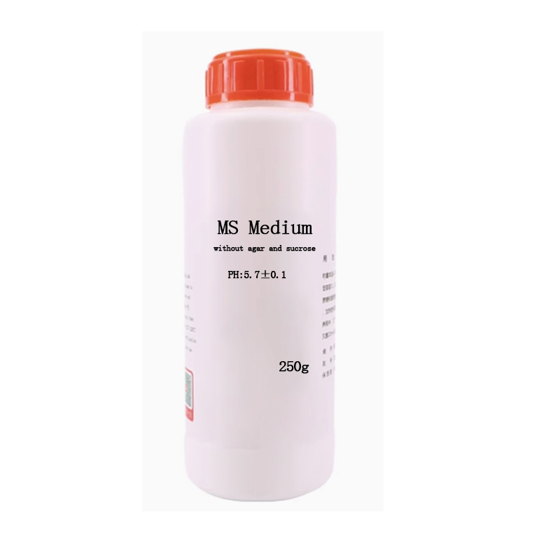 MS medium Without Agar Or Sucr - đánh giá và giá Agar Tissue Culture