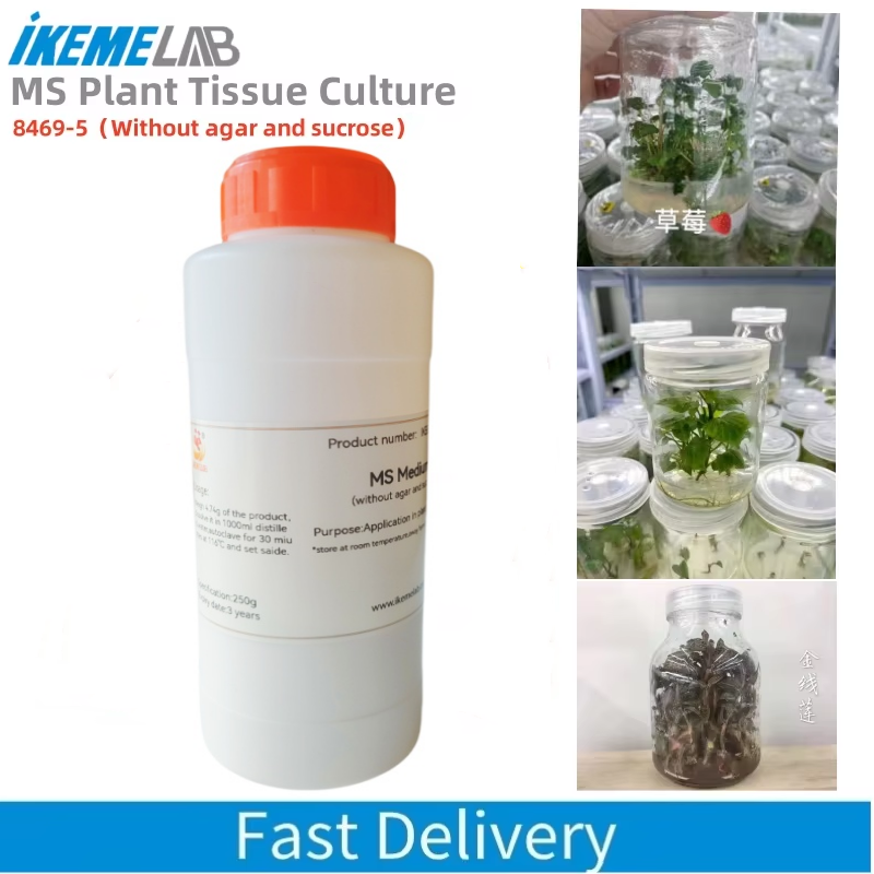 IKEME 250g Lab MS Medium Witho - đánh giá và giá Agar Tissue Culture
