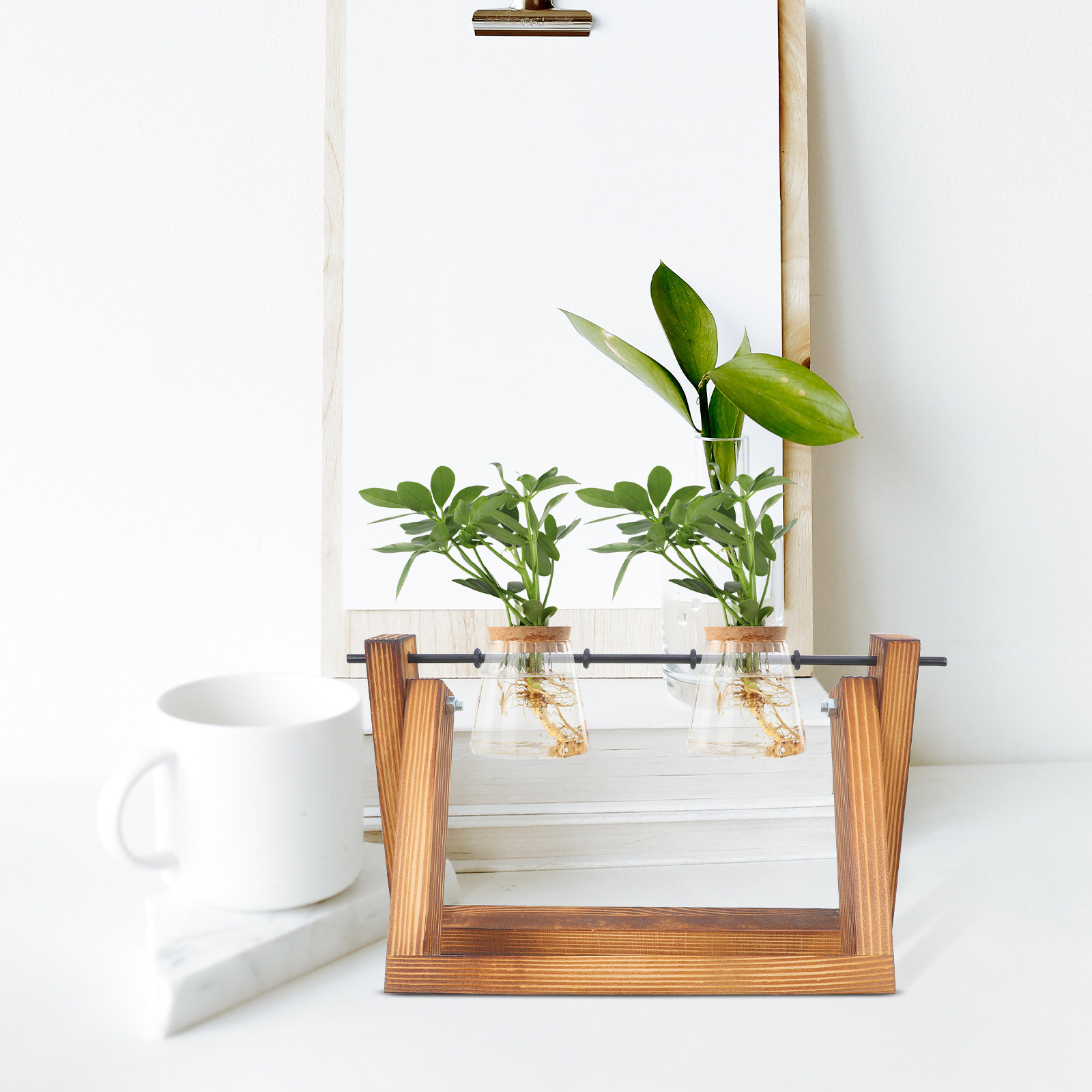 Hydroponic Propagating Jars Ho - đánh giá và giá Propagation Station Vase