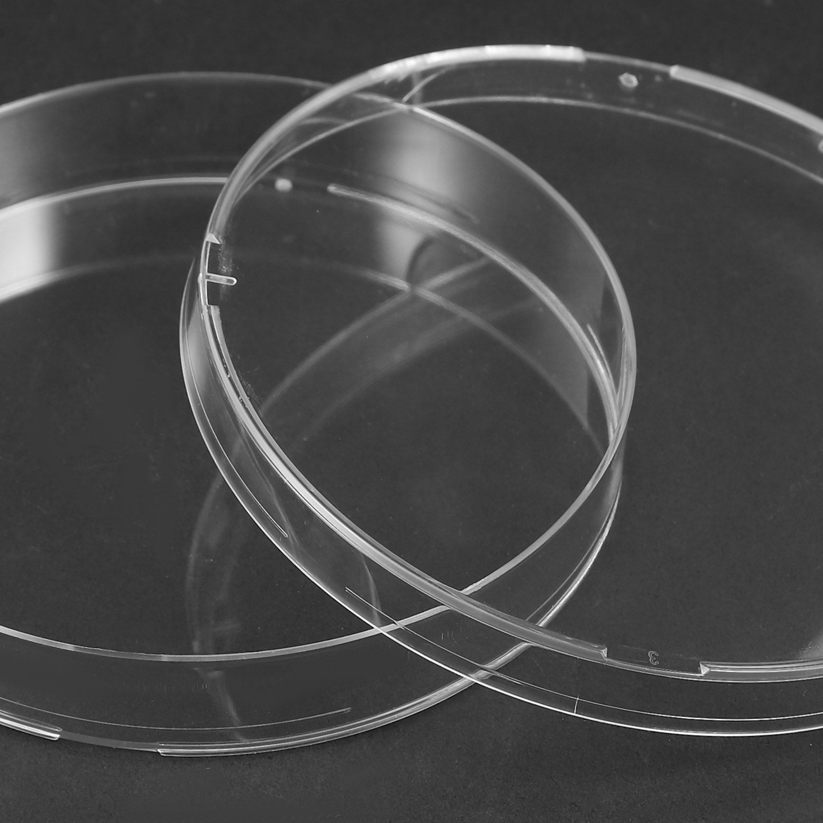 20Pcs Clear Sterile Petri Dish - đánh giá và giá Agar Tissue Culture
