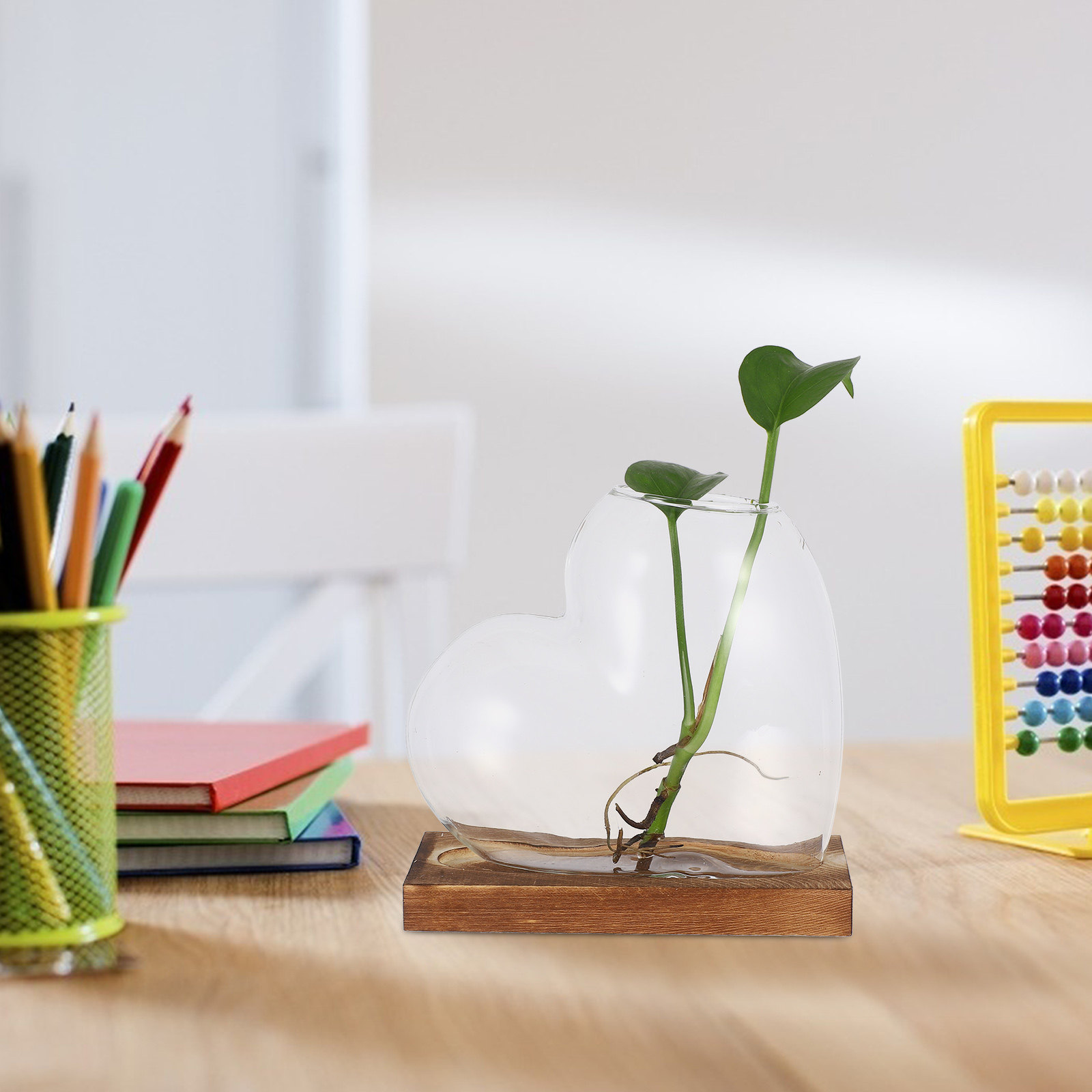 Creative Hydroponic Vase Trans - đánh giá và giá Propagation Station Vase