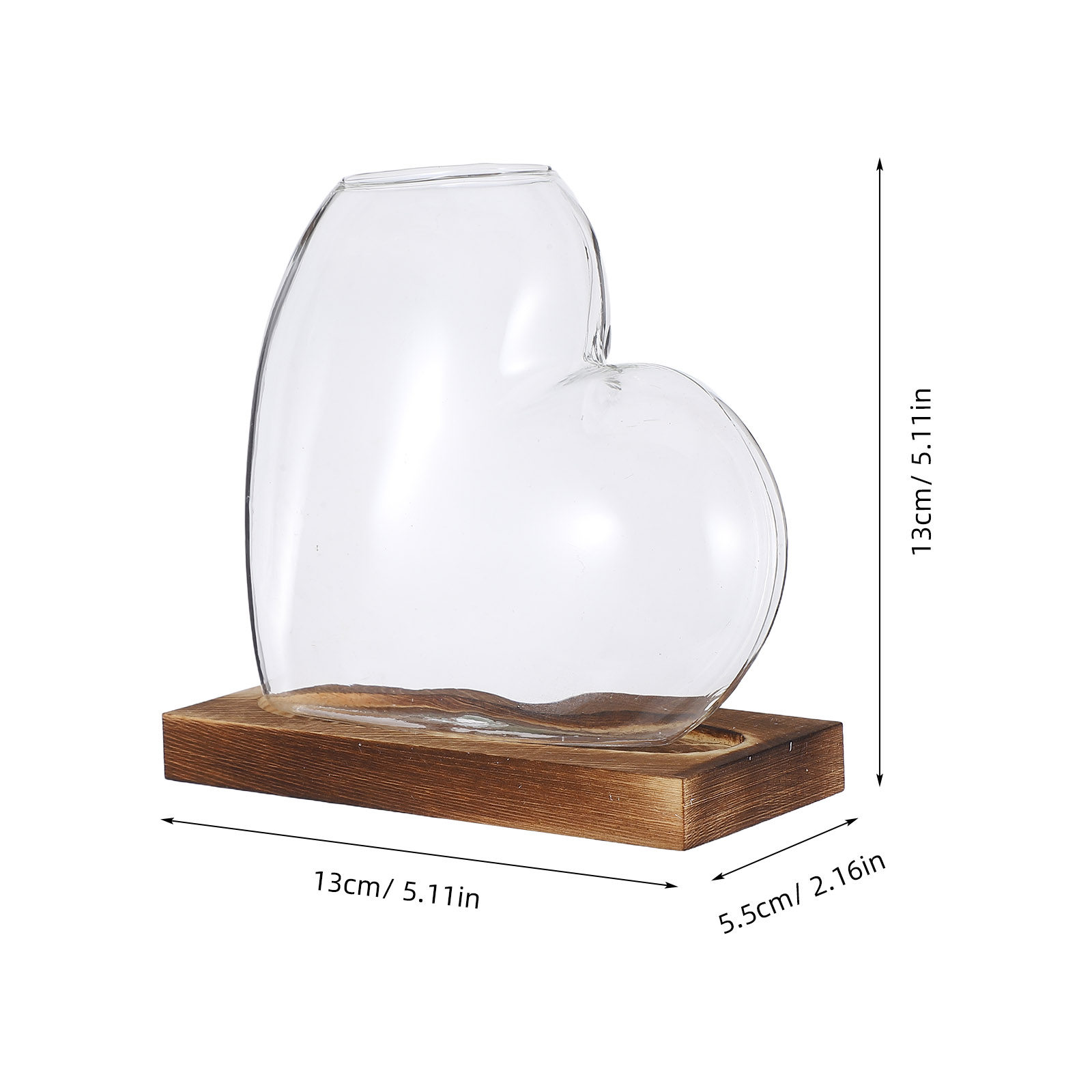 Creative Hydroponic Vase Trans - đánh giá và giá Propagation Station Vase