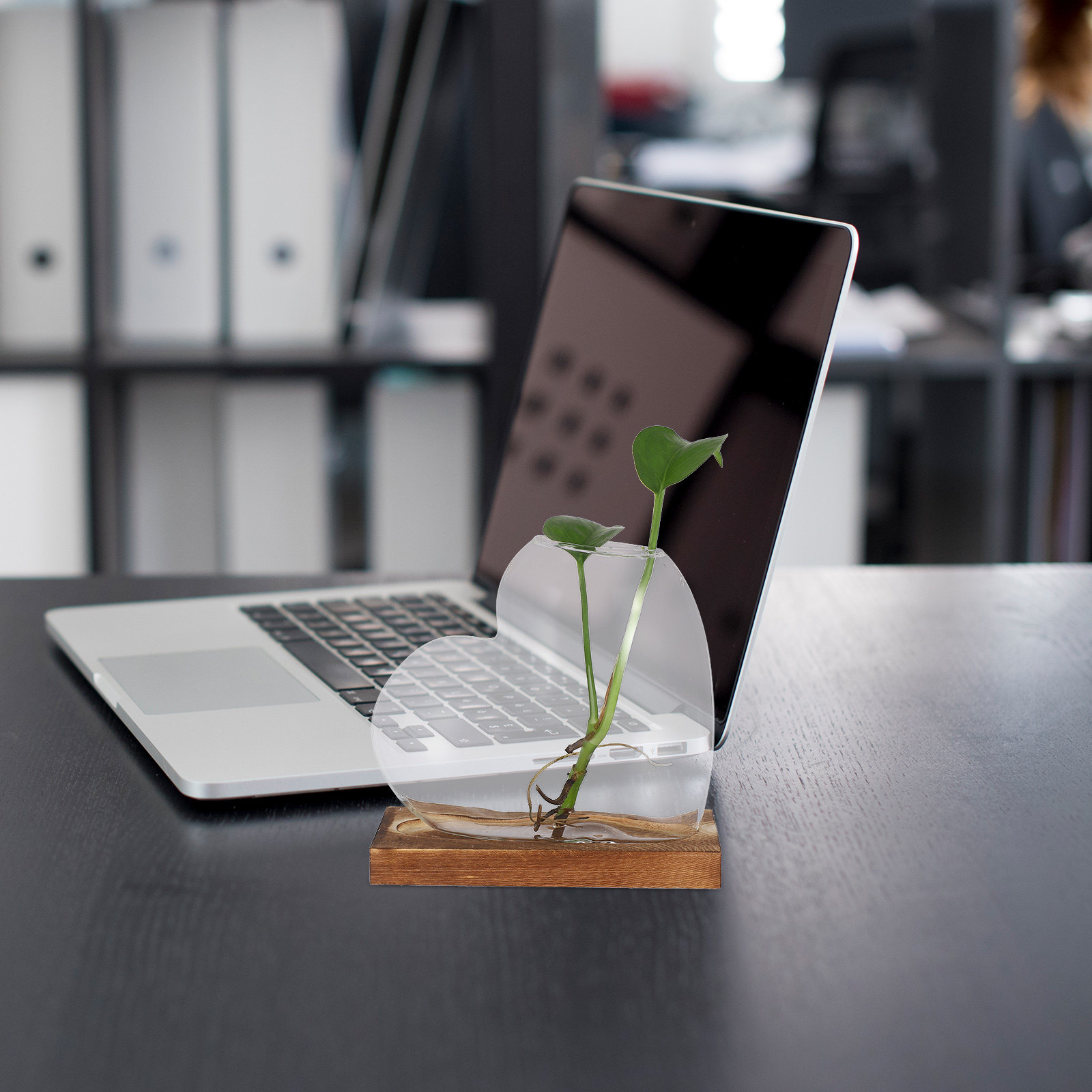 Creative Hydroponic Vase Trans - đánh giá và giá Propagation Station Vase