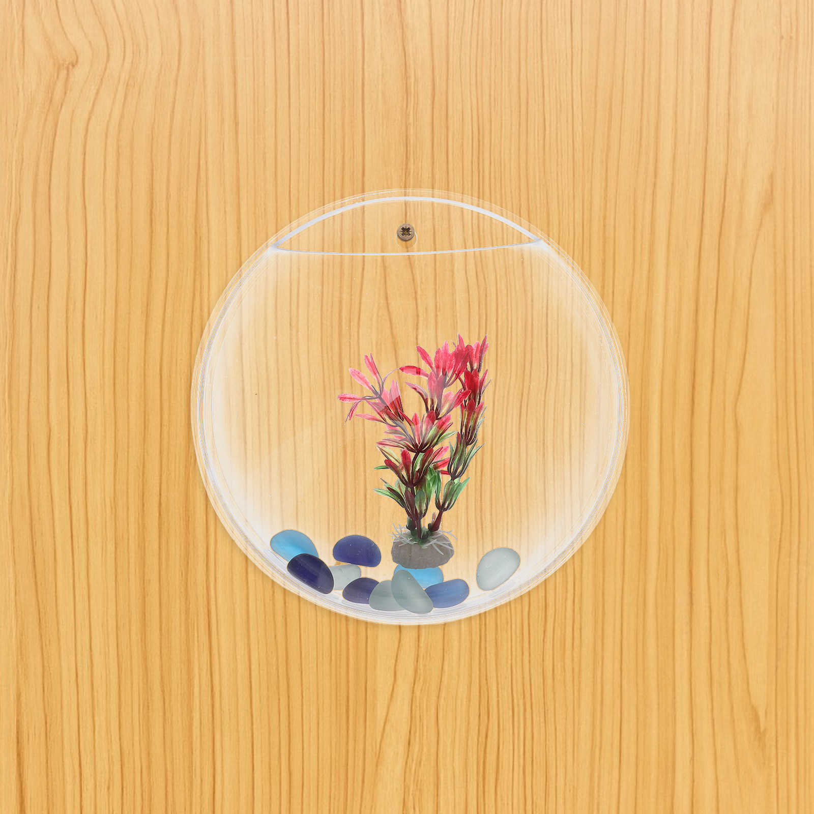 1Set Wall-Mounted Fish Tank 23 - đánh giá và giá Propagation Station Vase