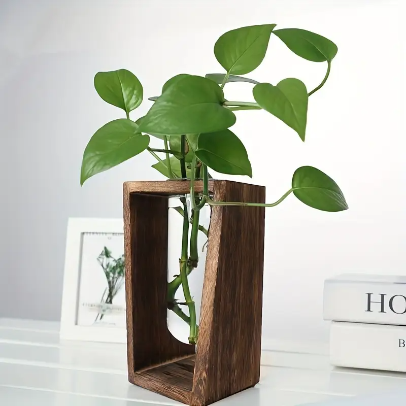 Modern Wood Propagation Vase - - đánh giá và giá Propagation Station Vase