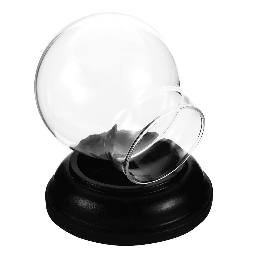 Empty Fillable Glass Snow Glob - đánh giá và giá Plastic Dome Clear