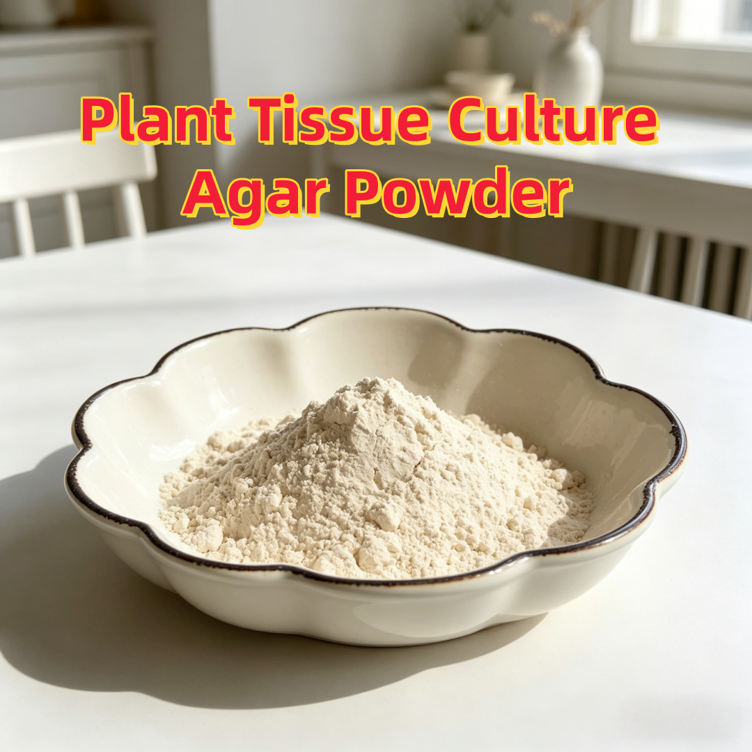 High Gel Strength Plant Tissue - đánh giá và giá Agar Tissue Culture