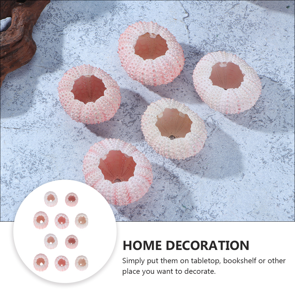 10Pcs DIY Jewelry Making Sea S - đánh giá và giá Propagation Station Vase