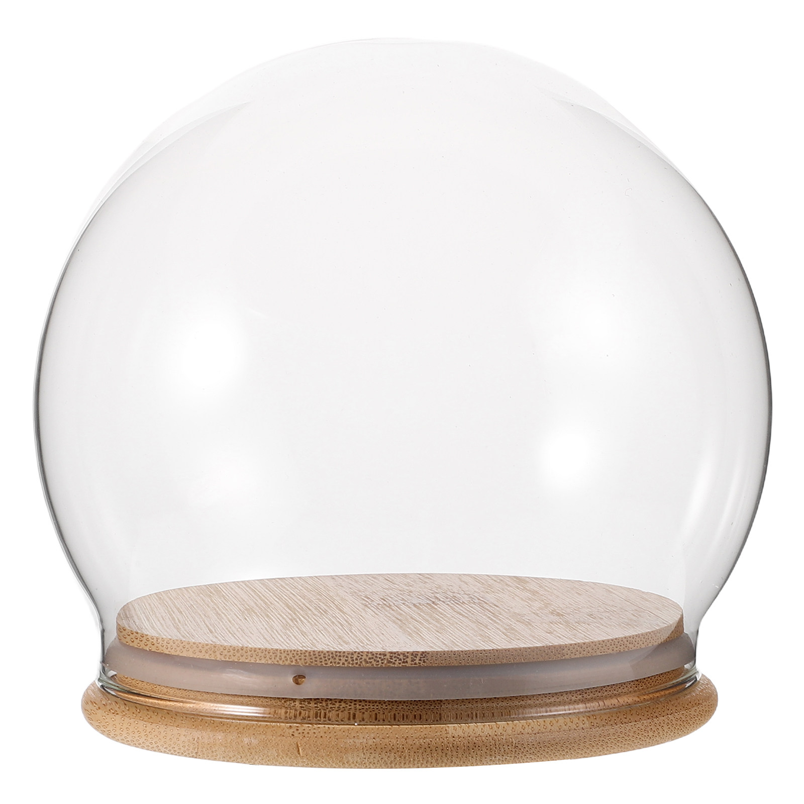 Glass Display Dome Cloche Eter - đánh giá và giá Plastic Dome Clear