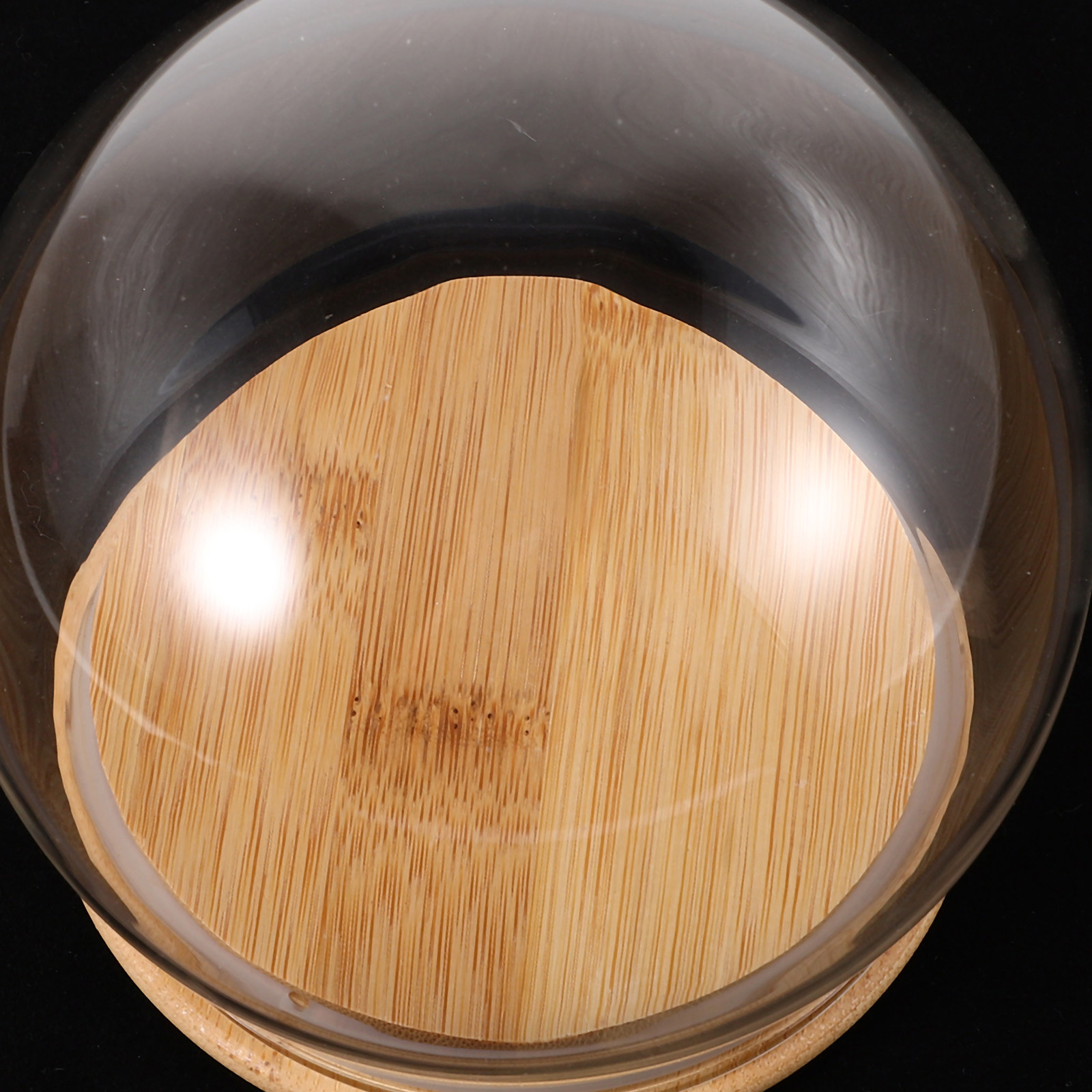 Glass Display Dome Cloche Eter - đánh giá và giá Plastic Dome Clear