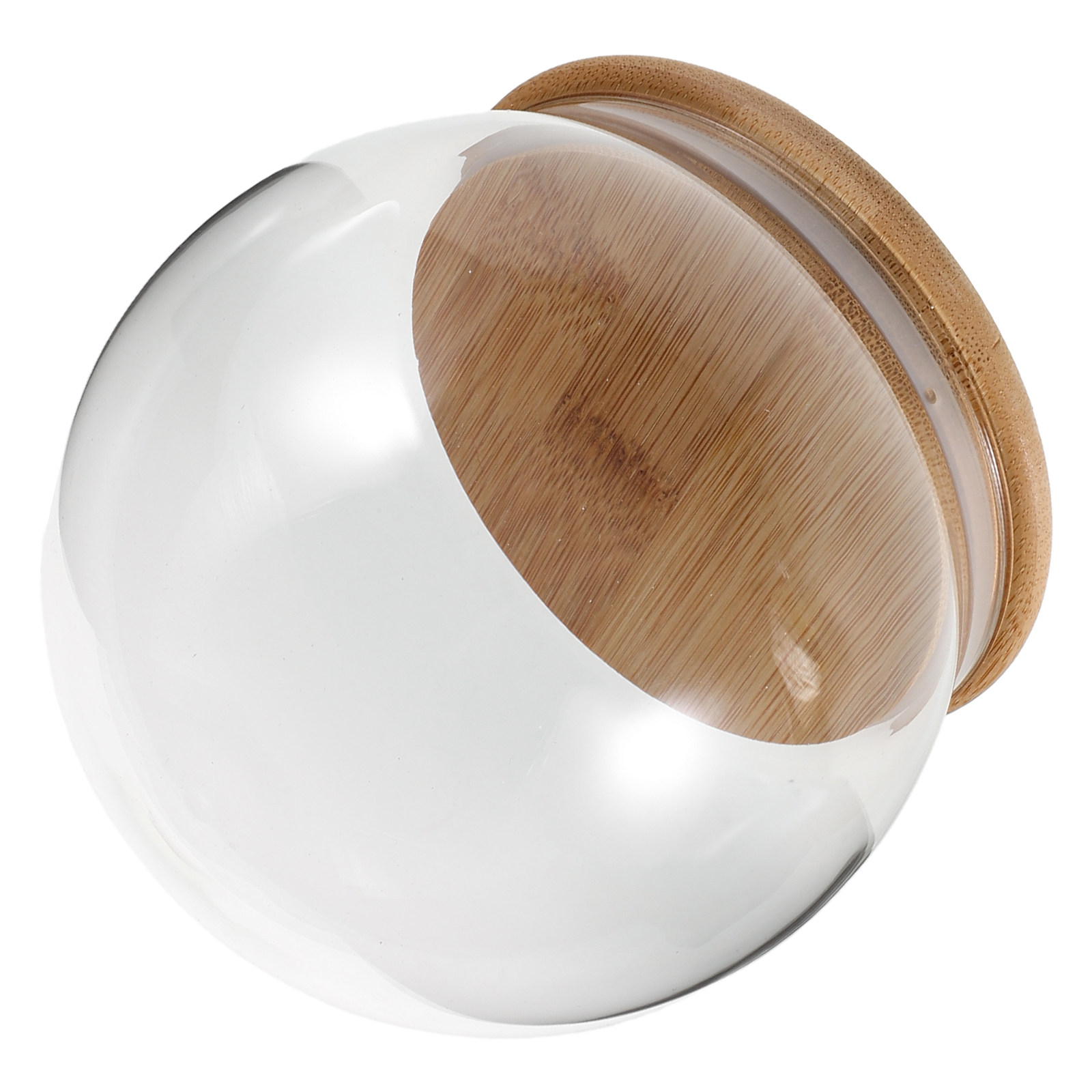 Glass Display Dome Cloche Eter - đánh giá và giá Plastic Dome Clear