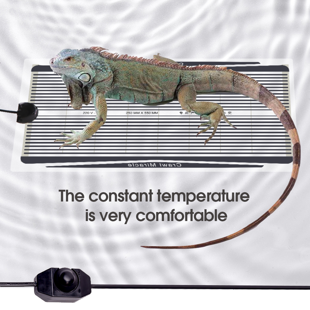 5W-35W Plant Heating Mat Graph - đánh giá và giá Heat Mat Seedling