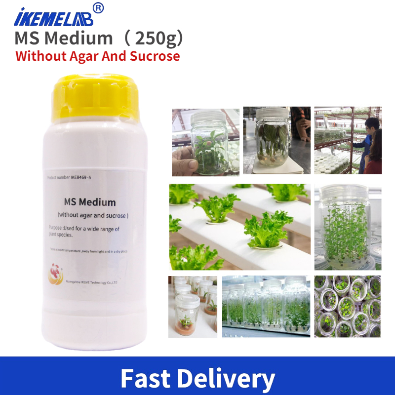 IKEME Lab MS Medium 250g Witho - đánh giá và giá Agar Tissue Culture