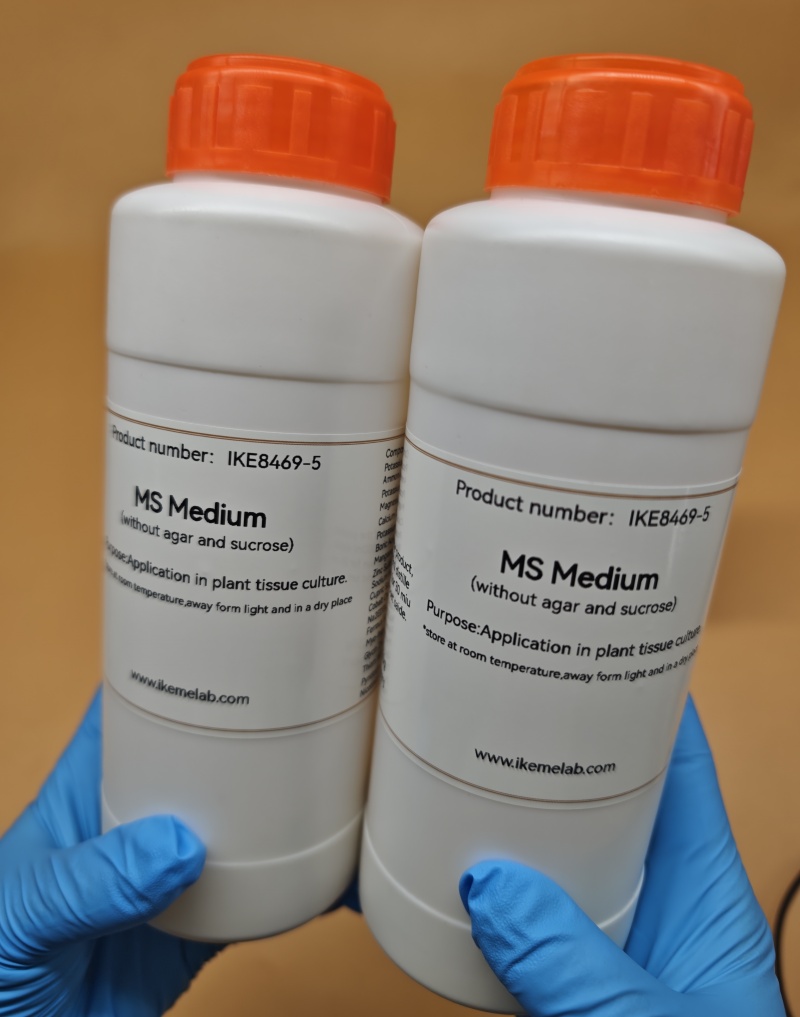IKEME Lab MS Medium 250g Witho - đánh giá và giá Agar Tissue Culture