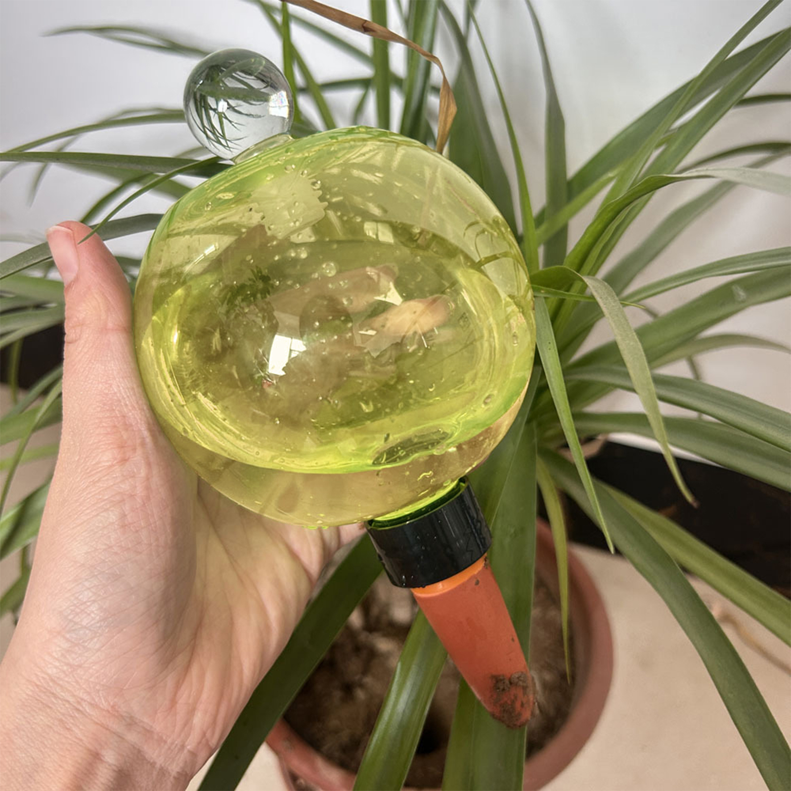 Self Watering Planter Insert T - đánh giá và giá Self Watering Insert