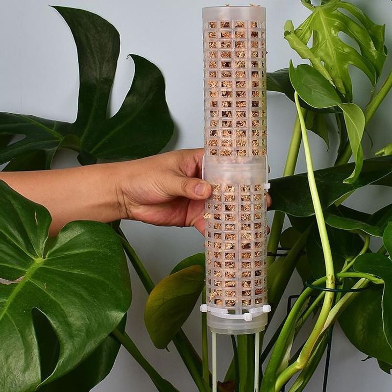 Plastics Moss Pole Plastics St - đánh giá và giá Sphagnum Moss Dry
