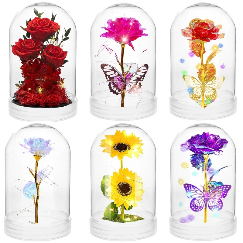 Clear Plastic Dome Display Cas - đánh giá và giá Plastic Dome Clear