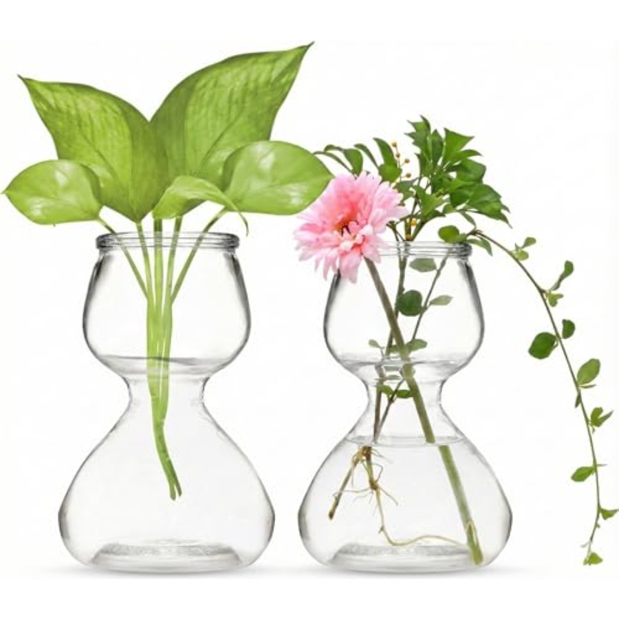 Garden Guru Plant Propagation  - đánh giá và giá Propagation Station Vase