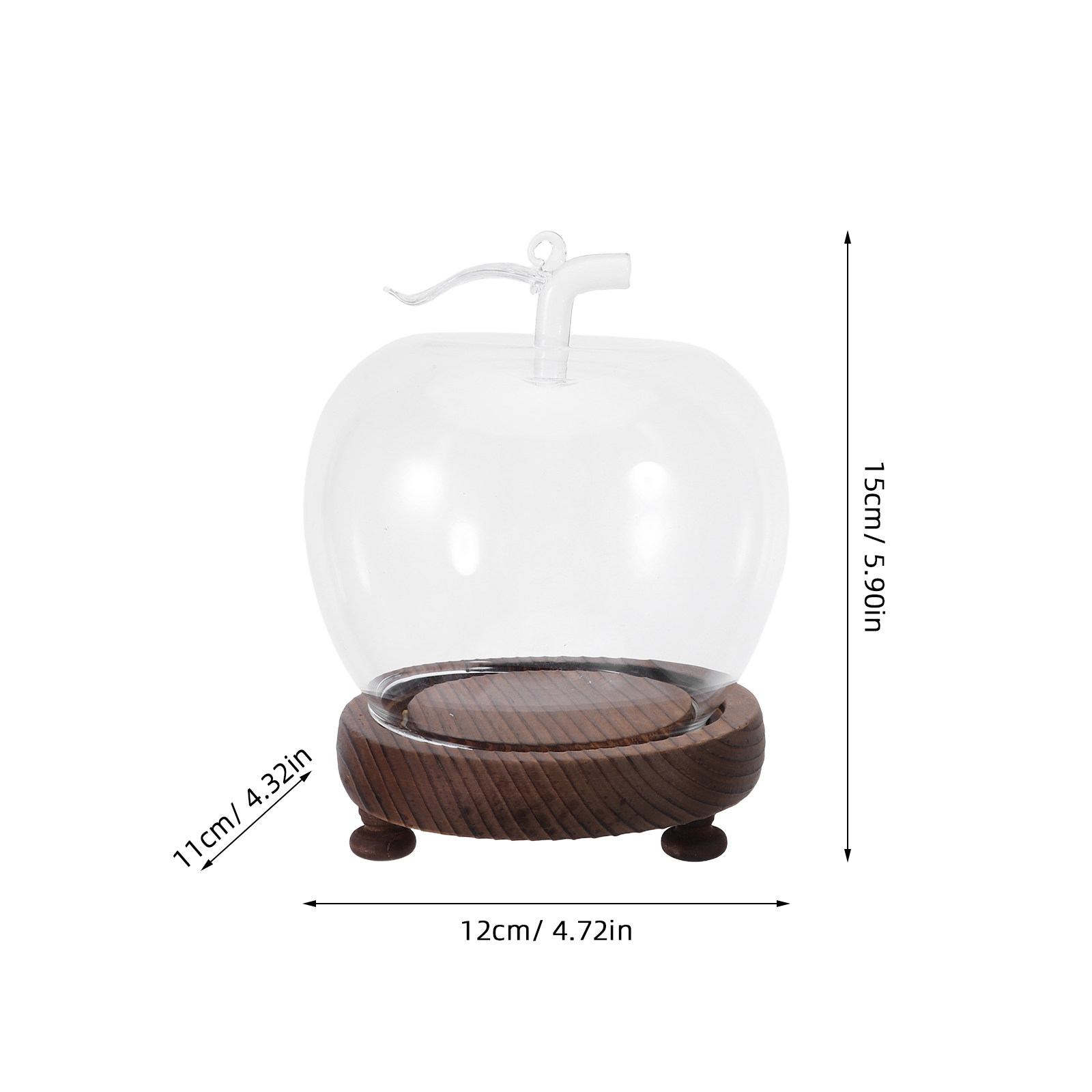 Clear Glass Dome Cloche Decora - đánh giá và giá Plastic Dome Clear