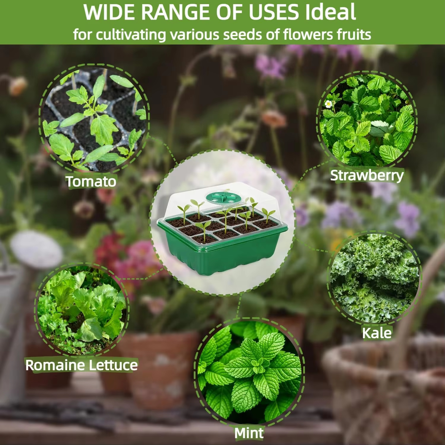 3Pcs Seed Starter Tray Mini Gr - đánh giá và giá Humidity Dome Kit
