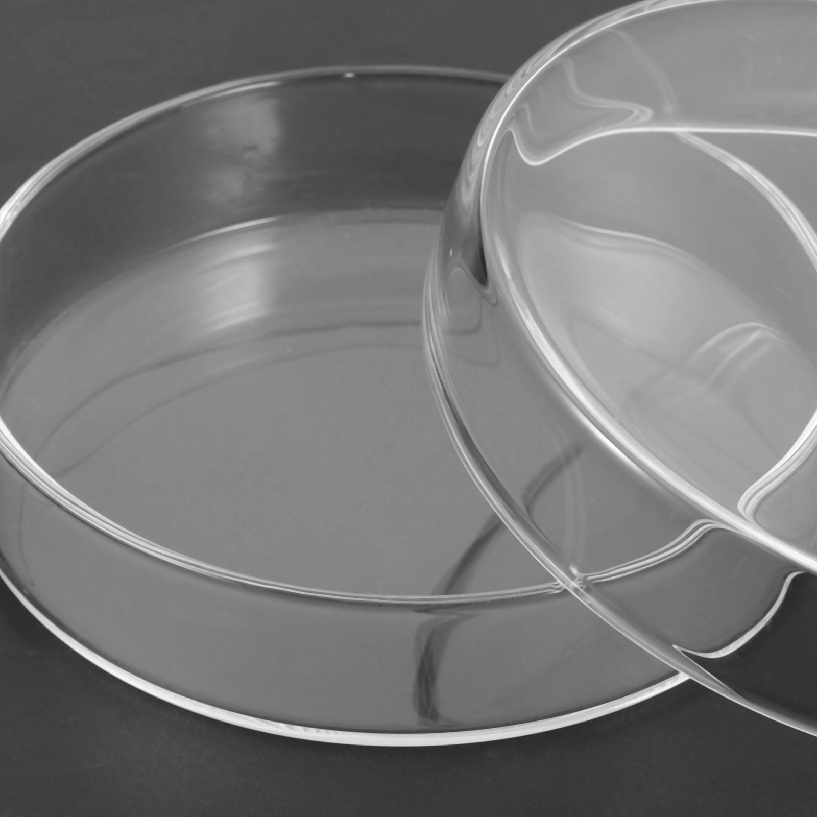 Glass Petri Dish High Borosili - đánh giá và giá Agar Tissue Culture