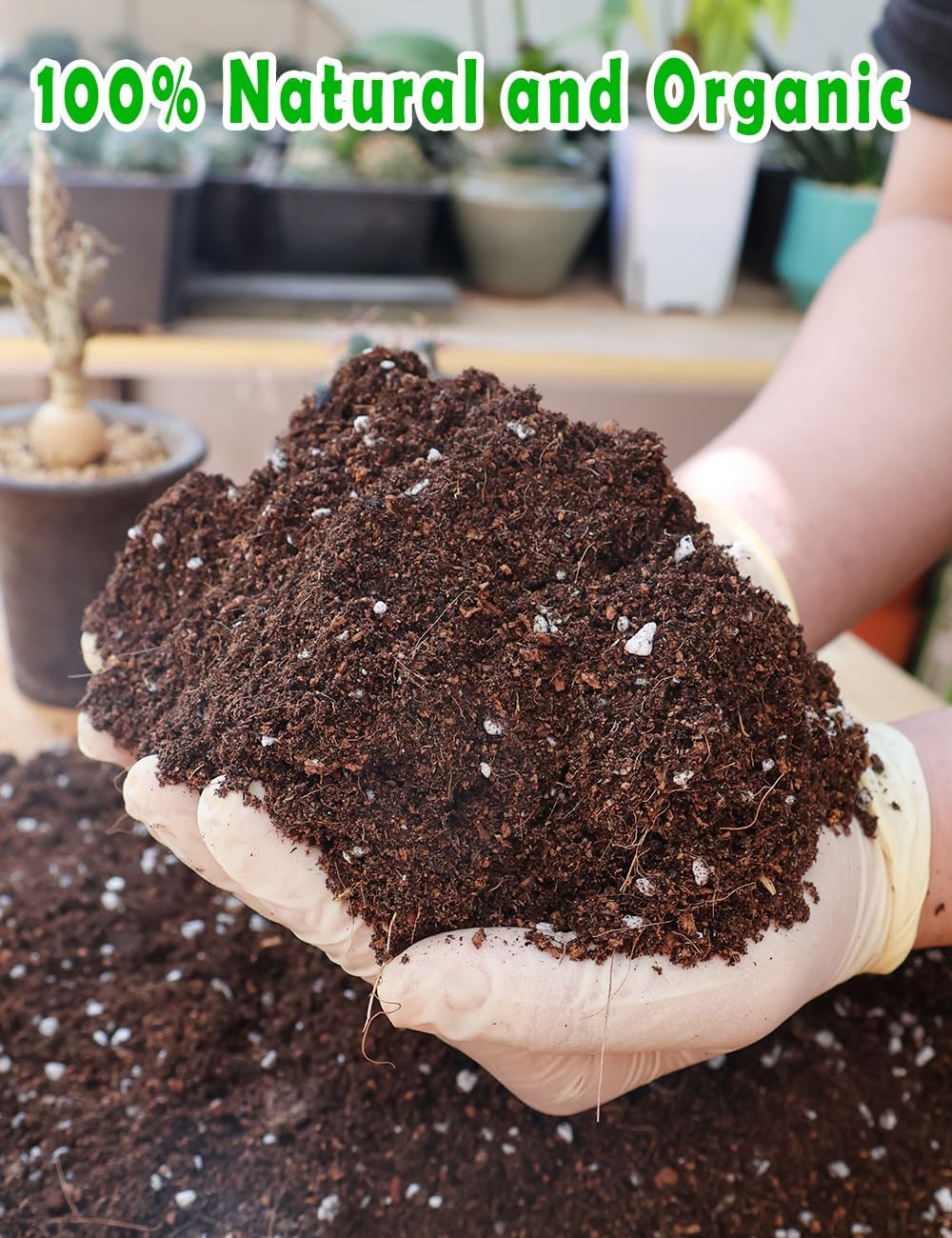 Potting Soil for All Indoor Ho - đánh giá và giá Coco Perlite Mix