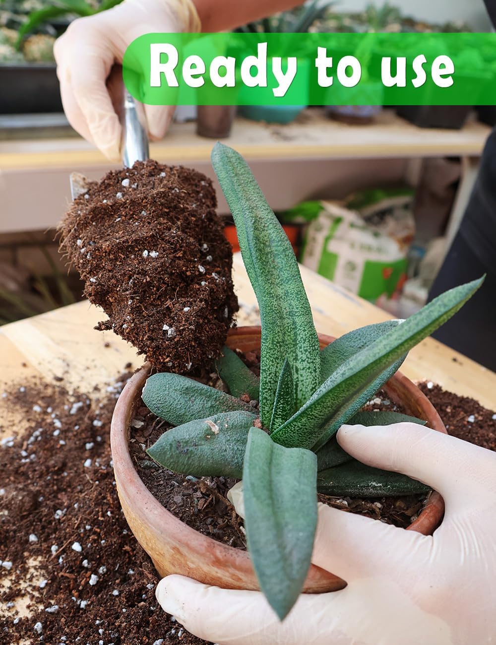 Potting Soil for All Indoor Ho - đánh giá và giá Coco Perlite Mix