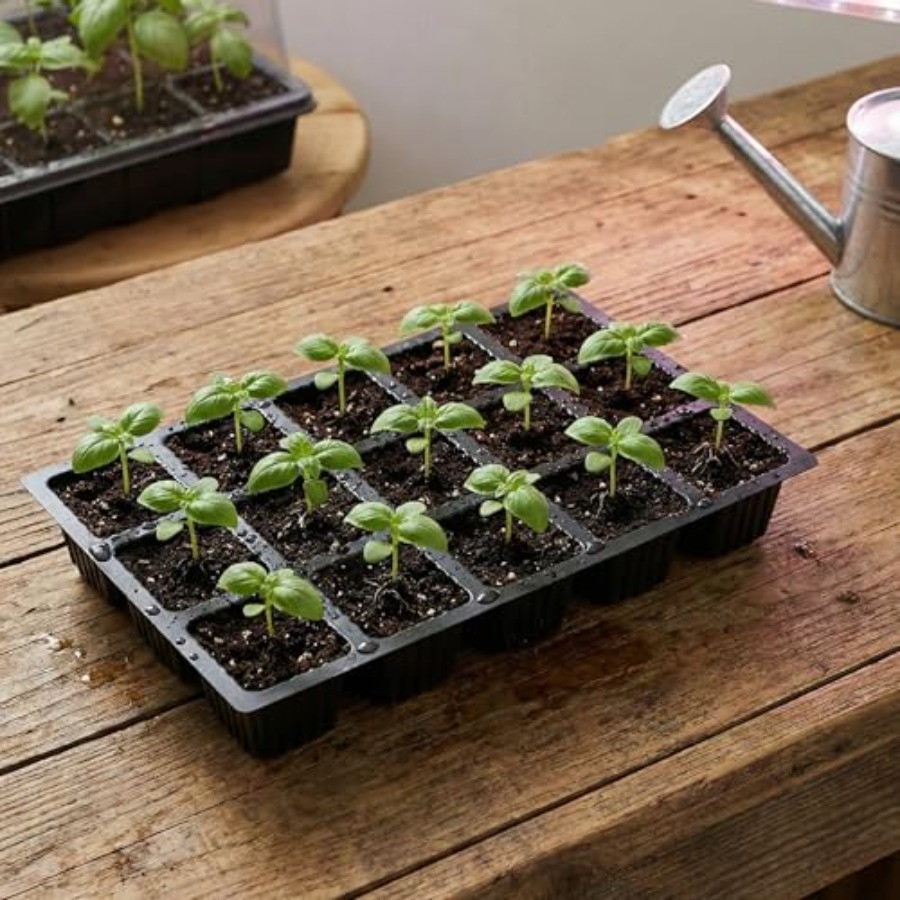 5-Set Seed Starter Tray Kits D - đánh giá và giá Humidity Dome Kit