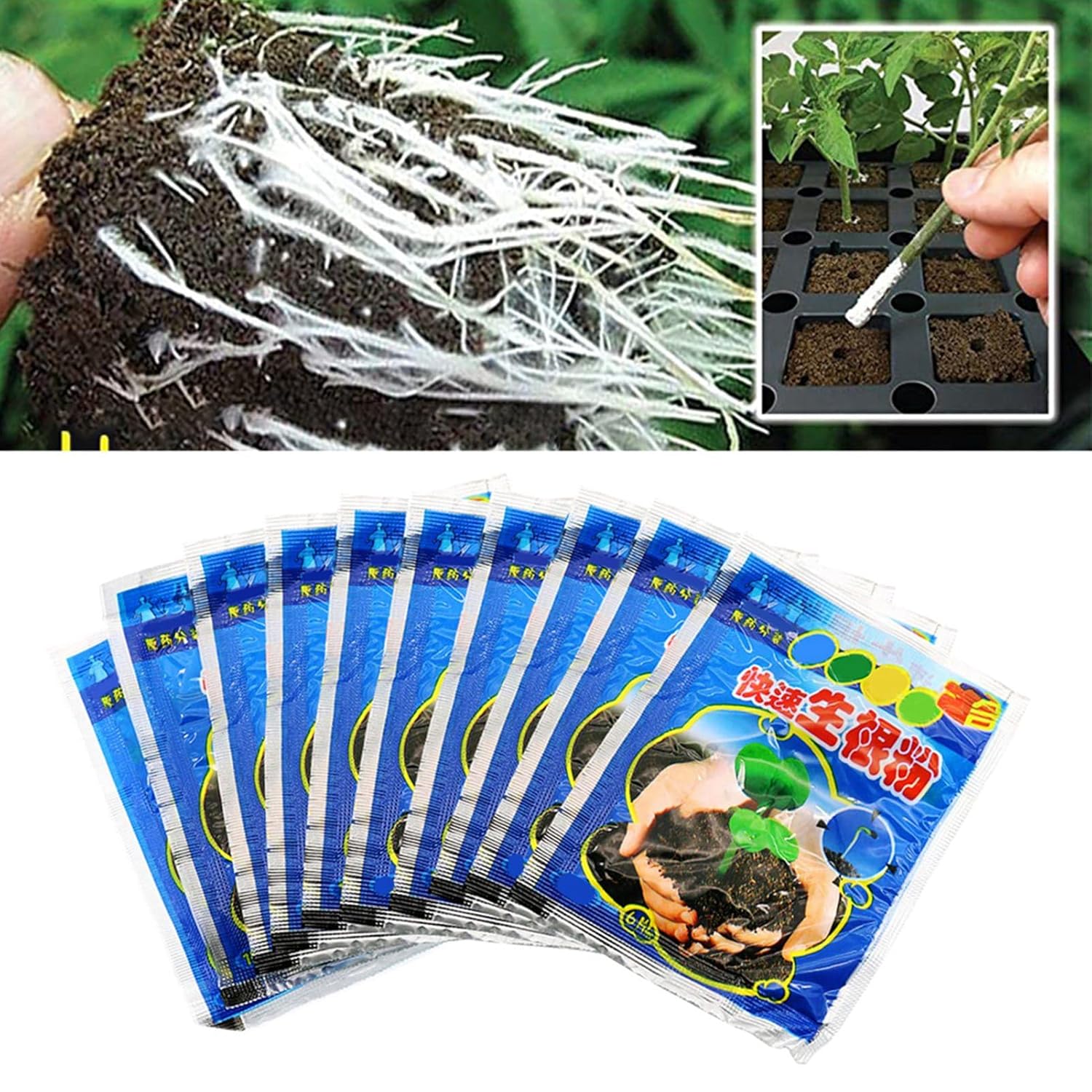 10 Bag 10g Rooting Powder for  - đánh giá và giá Rooting Hormone Powder